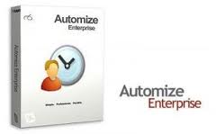 HitekSoftware Automize 9.13