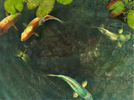 Koi Fish 3D Screensaver and Animated Wallpaper 2.0 Build 6