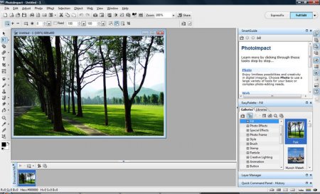 Ulead PhotoImpact 12 12.0.0.1 (2012)