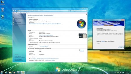 Windows 7 Professional SP1 IDimm Edition 14.12 (x86/x64) (2012)